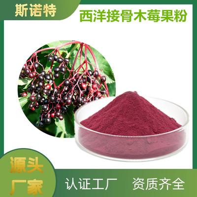 西洋接骨木果粉 膨化食品中的“养生新贵”